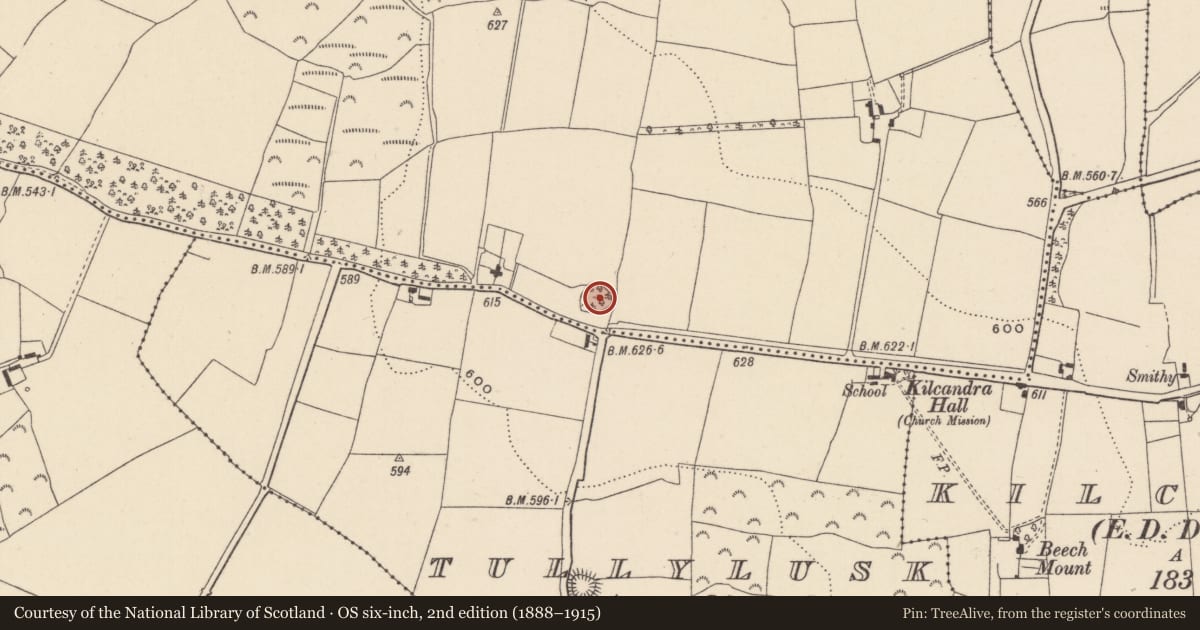 Ordnance Survey six-inch map, 2nd edition (1888–1915) covering the location of Ringfort - rath, Cunniamstown Beg, County Wicklow, with a pin at the register's coordinates