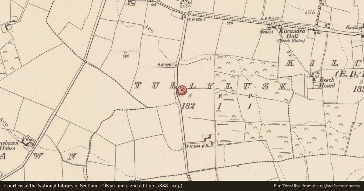 Ordnance Survey six-inch map, 2nd edition (1888–1915) covering the location of Ringfort - rath, Tullylusk, County Wicklow, with a pin at the register's coordinates
