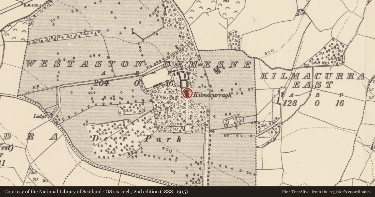 Ordnance Survey six-inch map, 2nd edition (1888–1915) covering the location of House - 16th/17th century, Westaston Demesne, County Wicklow, with a pin at the register's coordinates