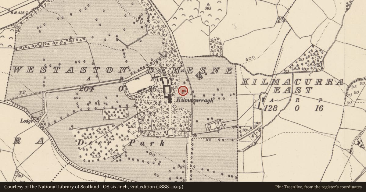 Ordnance Survey six-inch map, 2nd edition (1888–1915) covering the location of Graveyard, Westaston Demesne, County Wicklow, with a pin at the register's coordinates