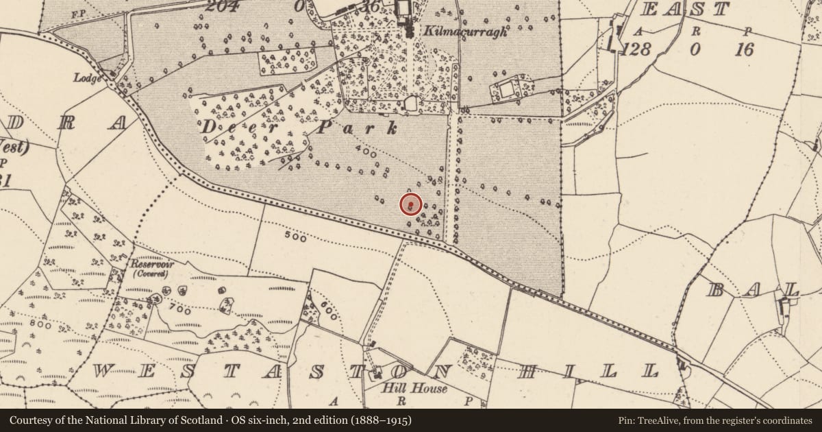Ordnance Survey six-inch map, 2nd edition (1888–1915) covering the location of Ringfort - rath, Westaston Demesne, County Wicklow, with a pin at the register's coordinates