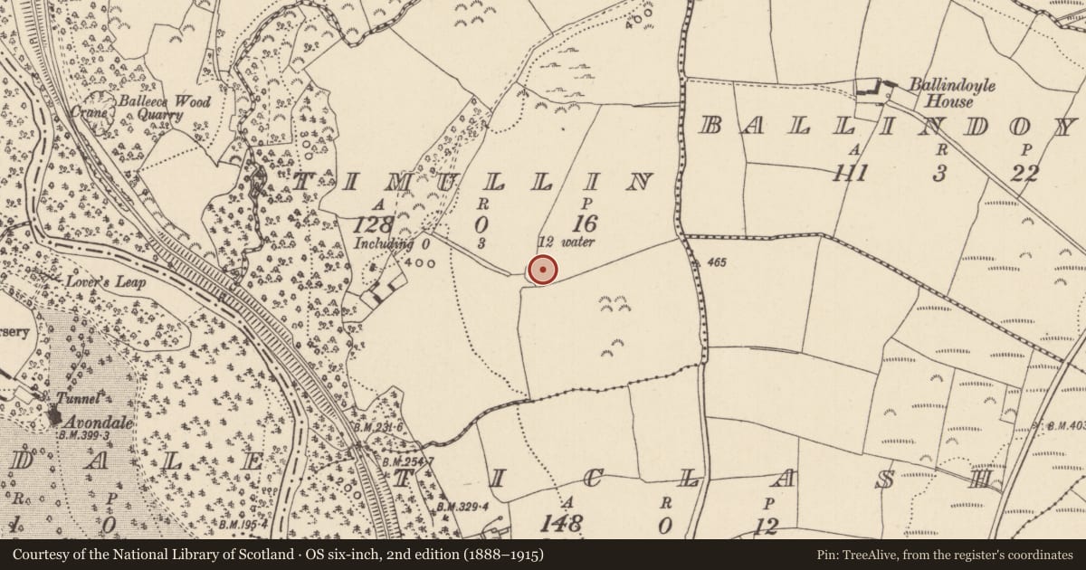 Ordnance Survey six-inch map, 2nd edition (1888–1915) covering the location of Ringfort - rath, Timullin, County Wicklow, with a pin at the register's coordinates