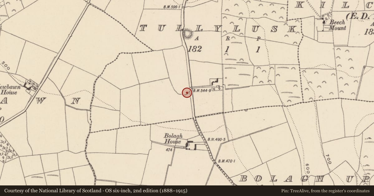 Ordnance Survey six-inch map, 2nd edition (1888–1915) covering the location of Ringfort - rath, Tullylusk, County Wicklow, with a pin at the register's coordinates