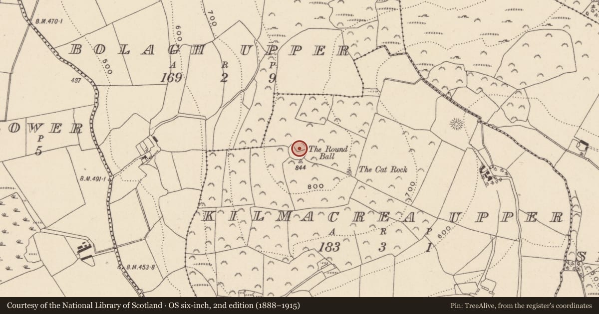 Ordnance Survey six-inch map, 2nd edition (1888–1915) covering the location of Enclosure, Kilmacrea Upper, County Wicklow, with a pin at the register's coordinates