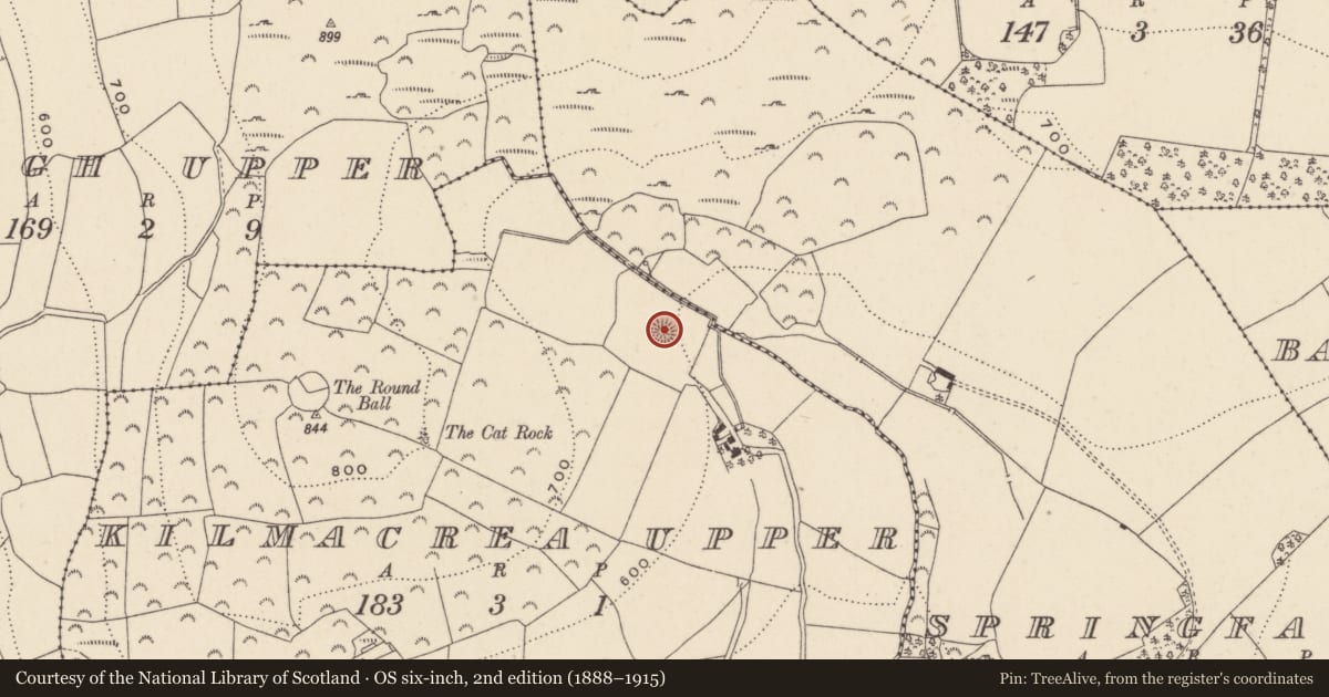 Ordnance Survey six-inch map, 2nd edition (1888–1915) covering the location of Enclosure, Kilmacrea Upper, County Wicklow, with a pin at the register's coordinates