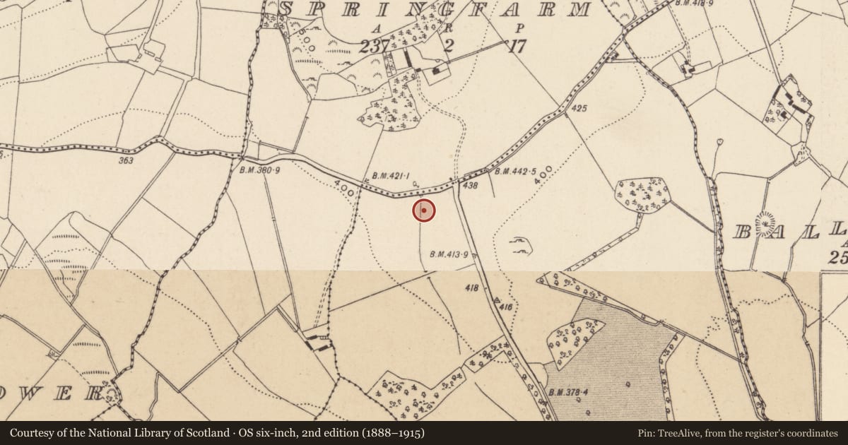 Ordnance Survey six-inch map, 2nd edition (1888–1915) covering the location of Rock art, Ballykean (Penrose), County Wicklow, with a pin at the register's coordinates
