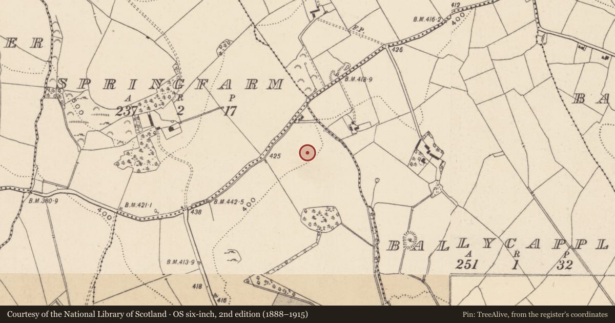 Ordnance Survey six-inch map, 2nd edition (1888–1915) covering the location of Rock art, Ballykean (Penrose), County Wicklow, with a pin at the register's coordinates