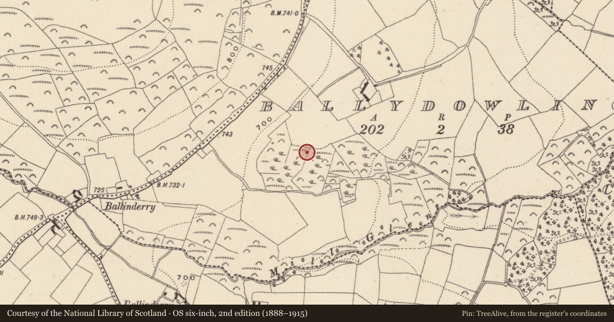 Ordnance Survey six-inch map, 2nd edition (1888–1915) covering the location of Ringfort - rath, Ballydowling, County Wicklow, with a pin at the register's coordinates
