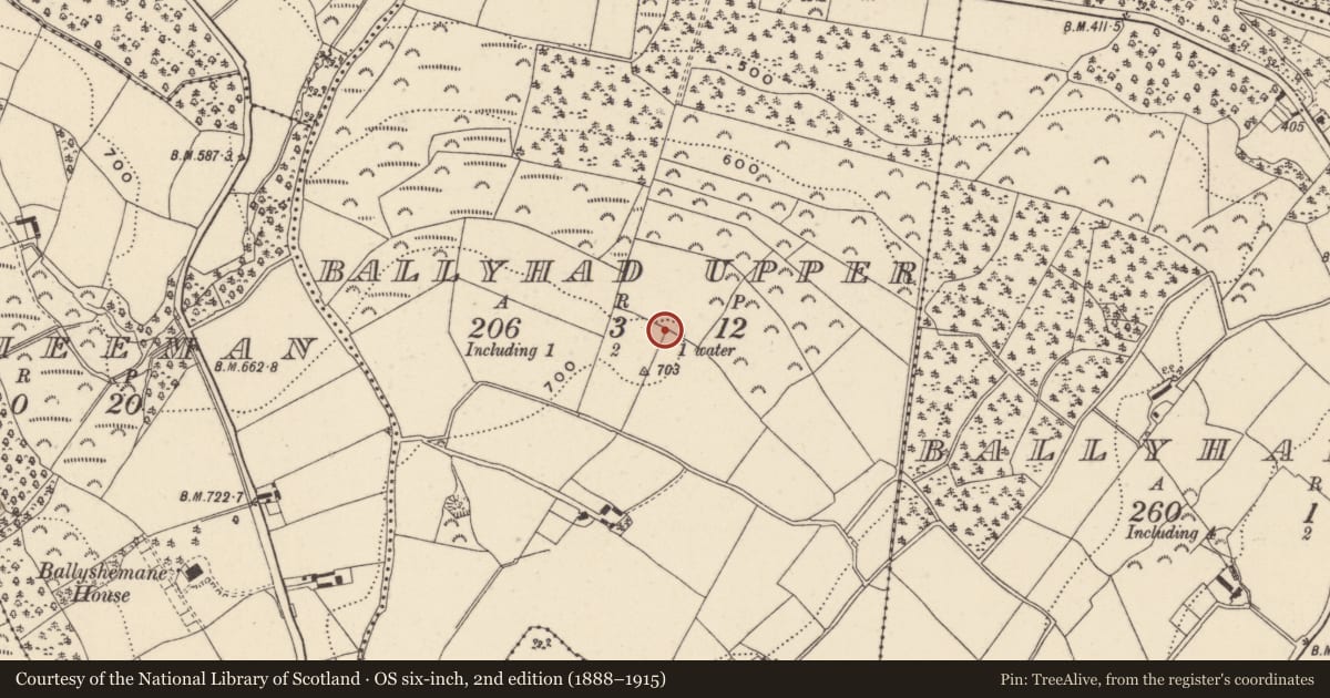 Ordnance Survey six-inch map, 2nd edition (1888–1915) covering the location of Bullaun stone, Ballyhad Upper, County Wicklow, with a pin at the register's coordinates