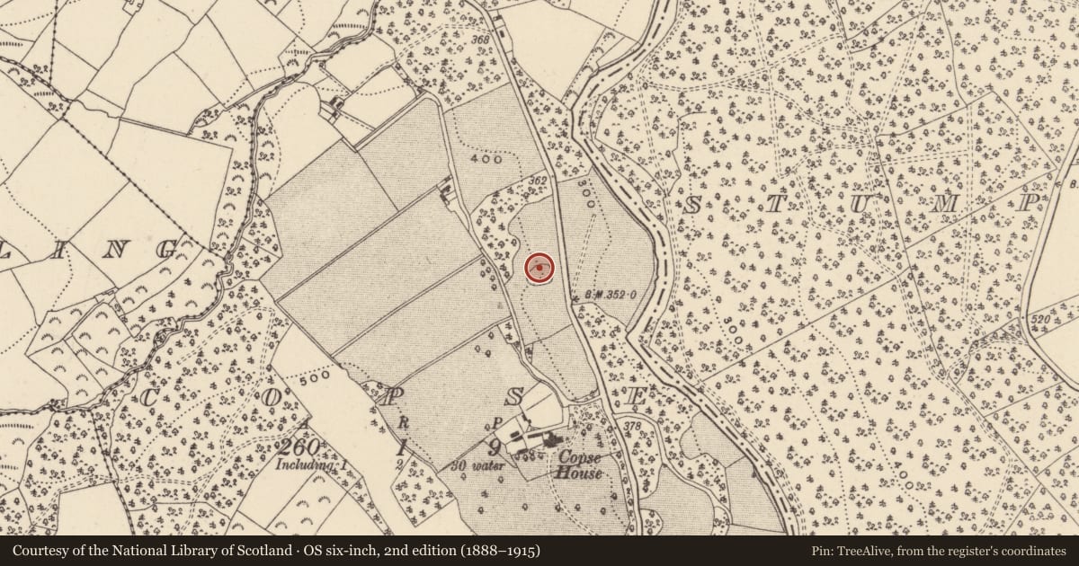 Ordnance Survey six-inch map, 2nd edition (1888–1915) covering the location of Mound, Copse, County Wicklow, with a pin at the register's coordinates