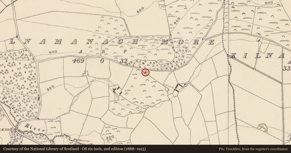 Ordnance Survey six-inch map, 2nd edition (1888–1915) covering the location of Church, Kilnamanagh More, County Wicklow, with a pin at the register's coordinates