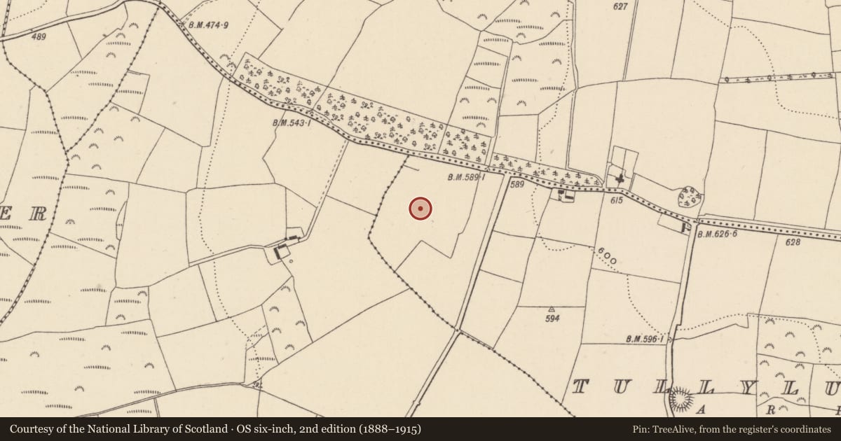 Ordnance Survey six-inch map, 2nd edition (1888–1915) covering the location of Enclosure, Tullylusk, County Wicklow, with a pin at the register's coordinates