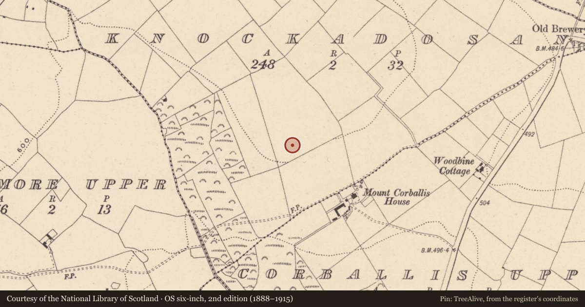 Ordnance Survey six-inch map, 2nd edition (1888–1915) covering the location of Enclosure, Knockadosan, County Wicklow, with a pin at the register's coordinates