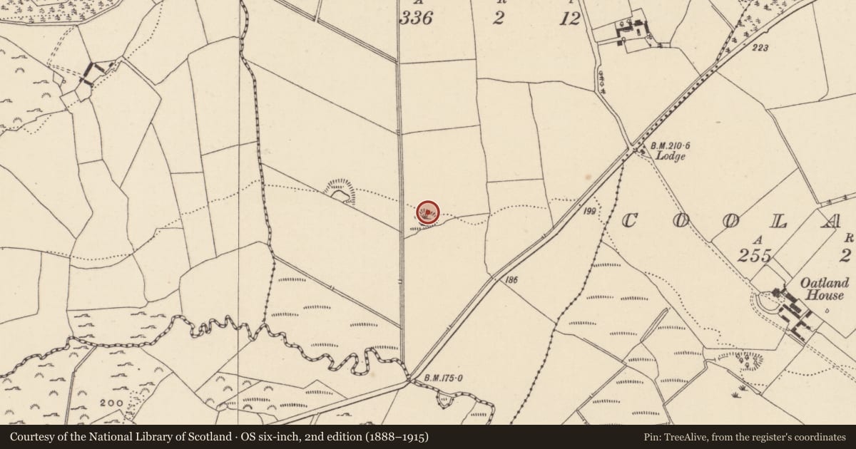 Ordnance Survey six-inch map, 2nd edition (1888–1915) covering the location of Enclosure, Kilnamanagh Beg, County Wicklow, with a pin at the register's coordinates