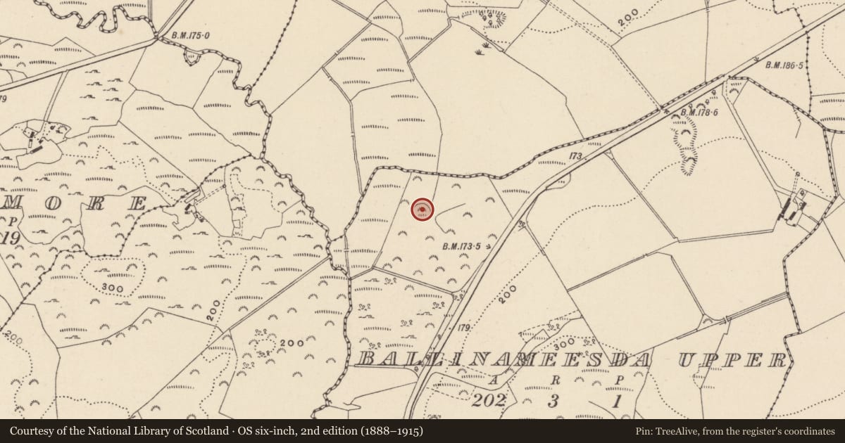 Ordnance Survey six-inch map, 2nd edition (1888–1915) covering the location of Ringfort - rath, Ballinameesda Upper, County Wicklow, with a pin at the register's coordinates