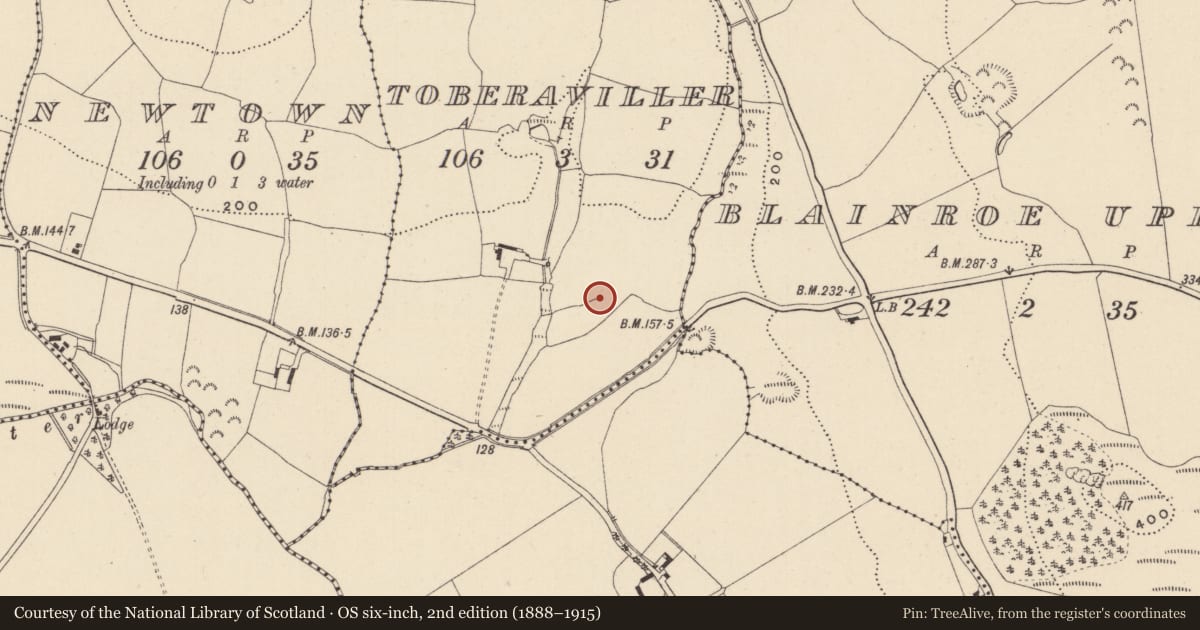 Ordnance Survey six-inch map, 2nd edition (1888–1915) covering the location of Ritual site - holy well, Toberaviller, County Wicklow, with a pin at the register's coordinates