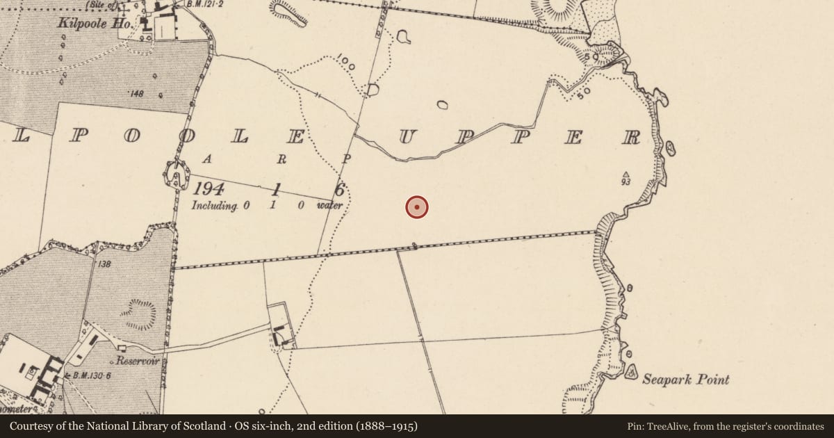 Ordnance Survey six-inch map, 2nd edition (1888–1915) covering the location of Ring-ditch, Kilpoole Upper, County Wicklow, with a pin at the register's coordinates