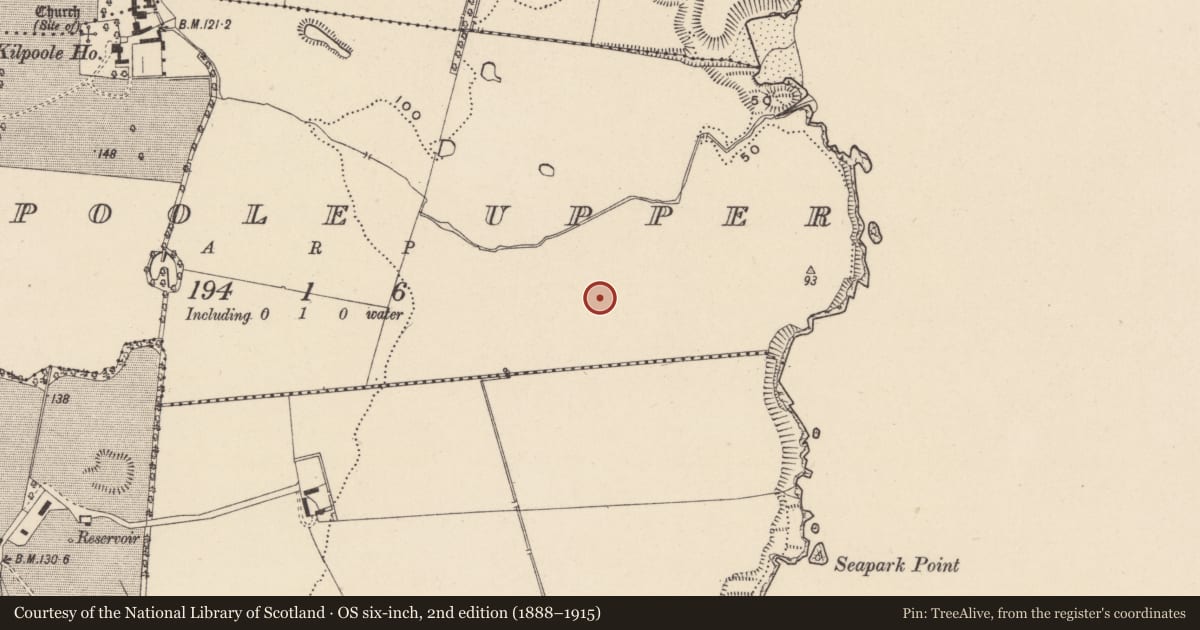 Ordnance Survey six-inch map, 2nd edition (1888–1915) covering the location of Ring-ditch, Kilpoole Upper, County Wicklow, with a pin at the register's coordinates