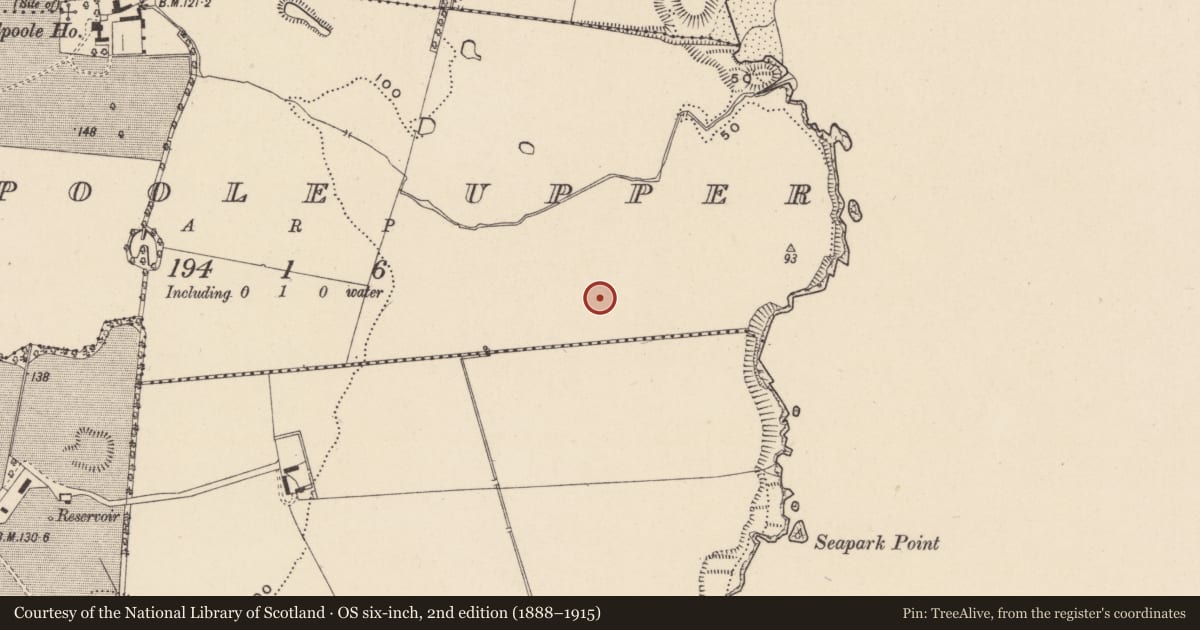 Ordnance Survey six-inch map, 2nd edition (1888–1915) covering the location of Ring-ditch, Kilpoole Upper, County Wicklow, with a pin at the register's coordinates
