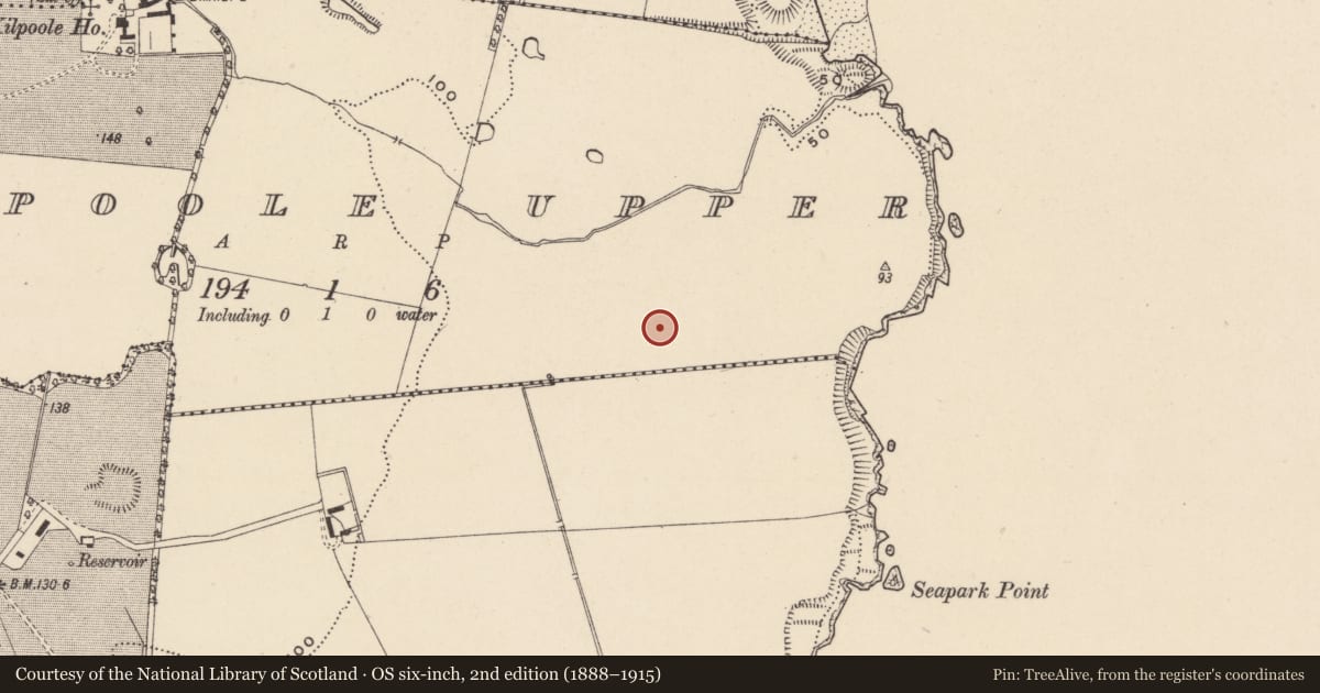 Ordnance Survey six-inch map, 2nd edition (1888–1915) covering the location of Ring-ditch, Kilpoole Upper, County Wicklow, with a pin at the register's coordinates