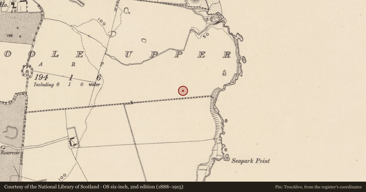 Ordnance Survey six-inch map, 2nd edition (1888–1915) covering the location of Ring-ditch, Kilpoole Upper, County Wicklow, with a pin at the register's coordinates