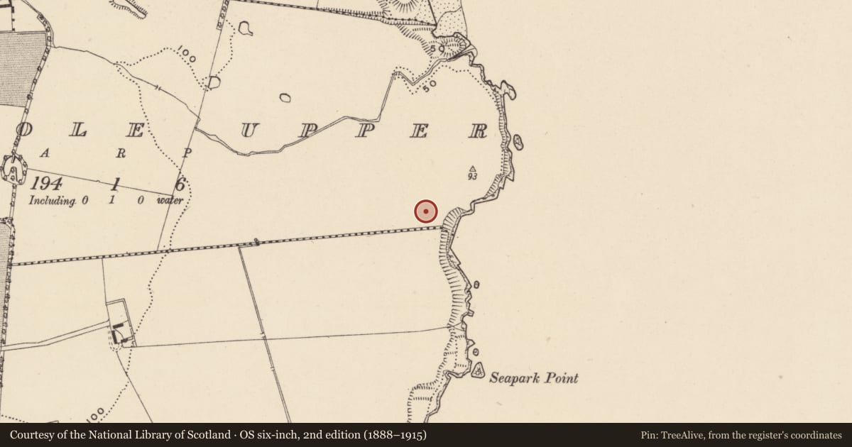 Ordnance Survey six-inch map, 2nd edition (1888–1915) covering the location of Ring-ditch, Kilpoole Upper, County Wicklow, with a pin at the register's coordinates