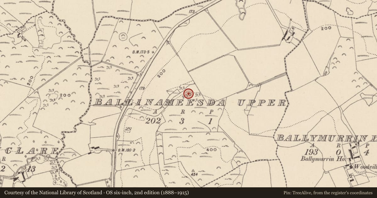 Ordnance Survey six-inch map, 2nd edition (1888–1915) covering the location of Ringfort - unclassified, Ballinameesda Upper, County Wicklow, with a pin at the register's coordinates