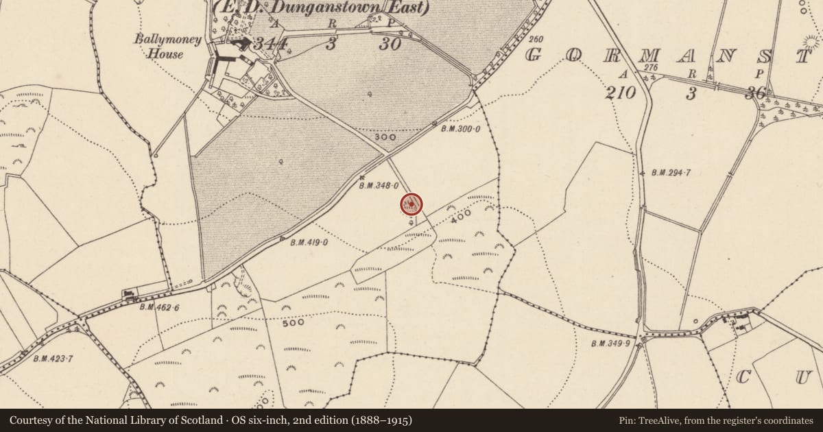 Ordnance Survey six-inch map, 2nd edition (1888–1915) covering the location of Ringfort - rath, Ballymoney, County Wicklow, with a pin at the register's coordinates