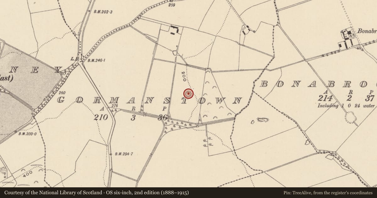 Ordnance Survey six-inch map, 2nd edition (1888–1915) covering the location of Enclosure, Gormanstown, County Wicklow, with a pin at the register's coordinates