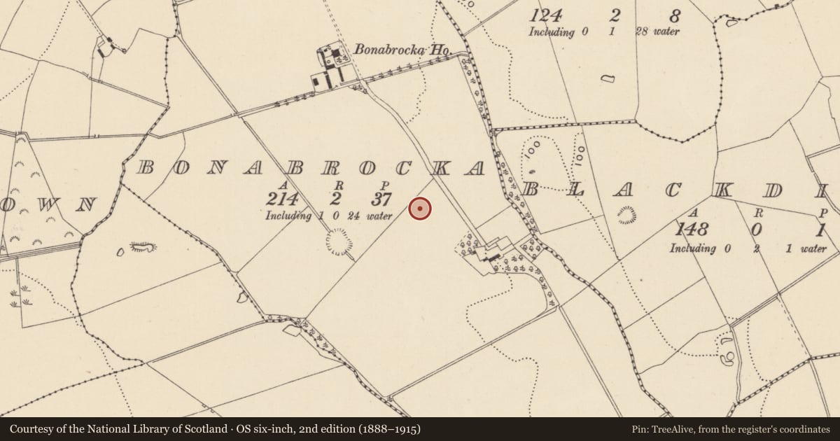 Ordnance Survey six-inch map, 2nd edition (1888–1915) covering the location of Enclosure, Bonabrocka, County Wicklow, with a pin at the register's coordinates