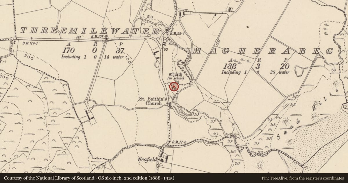 Ordnance Survey six-inch map, 2nd edition (1888–1915) covering the location of Graveyard, Threemilewater, County Wicklow, with a pin at the register's coordinates