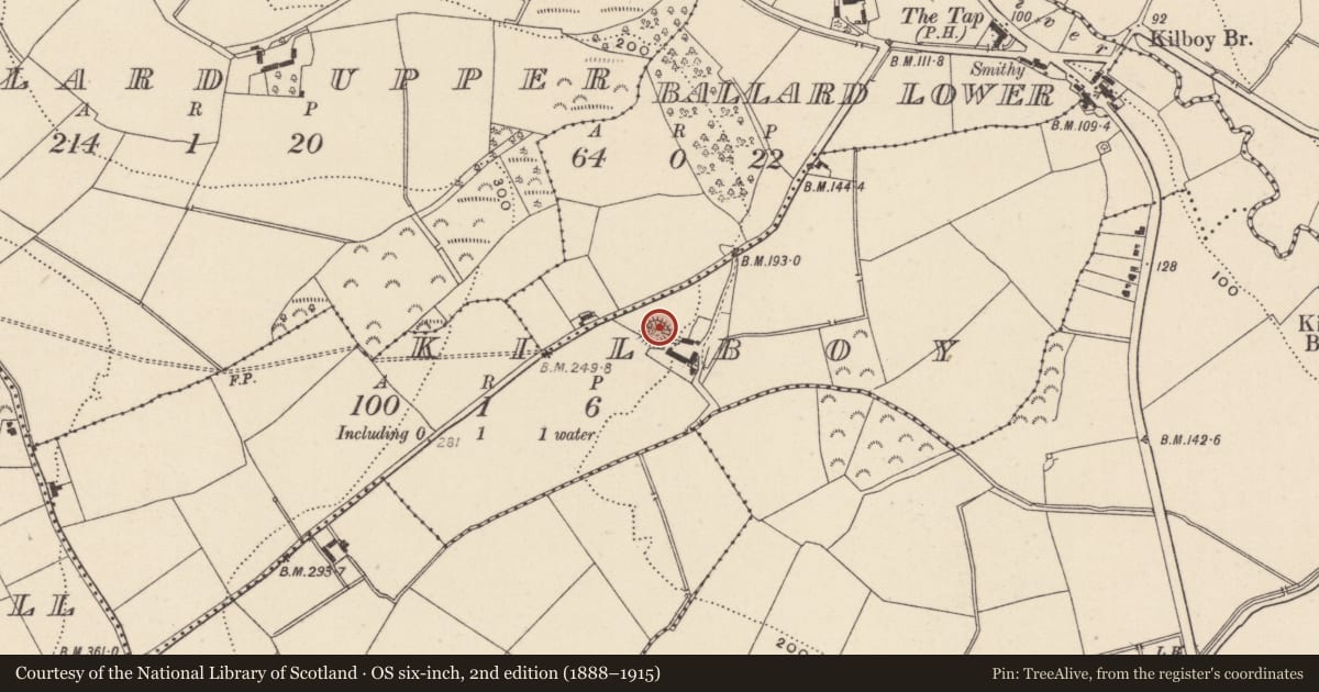 Ordnance Survey six-inch map, 2nd edition (1888–1915) covering the location of Graveyard, Kilboy, County Wicklow, with a pin at the register's coordinates