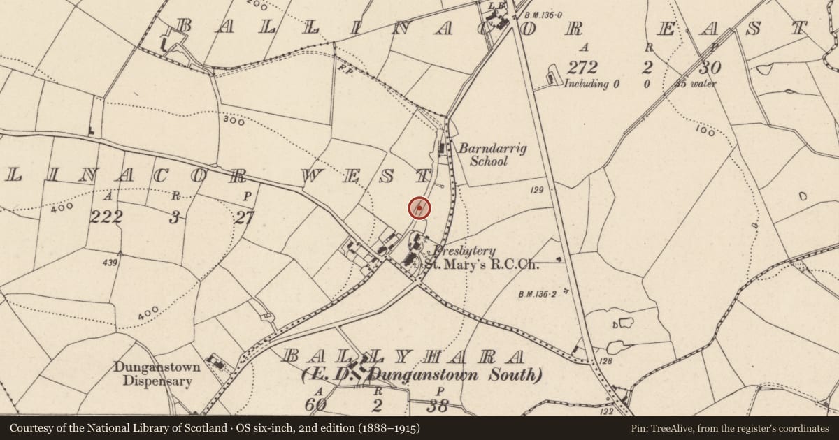 Ordnance Survey six-inch map, 2nd edition (1888–1915) covering the location of Ringfort - rath, Ballinacor West, County Wicklow, with a pin at the register's coordinates