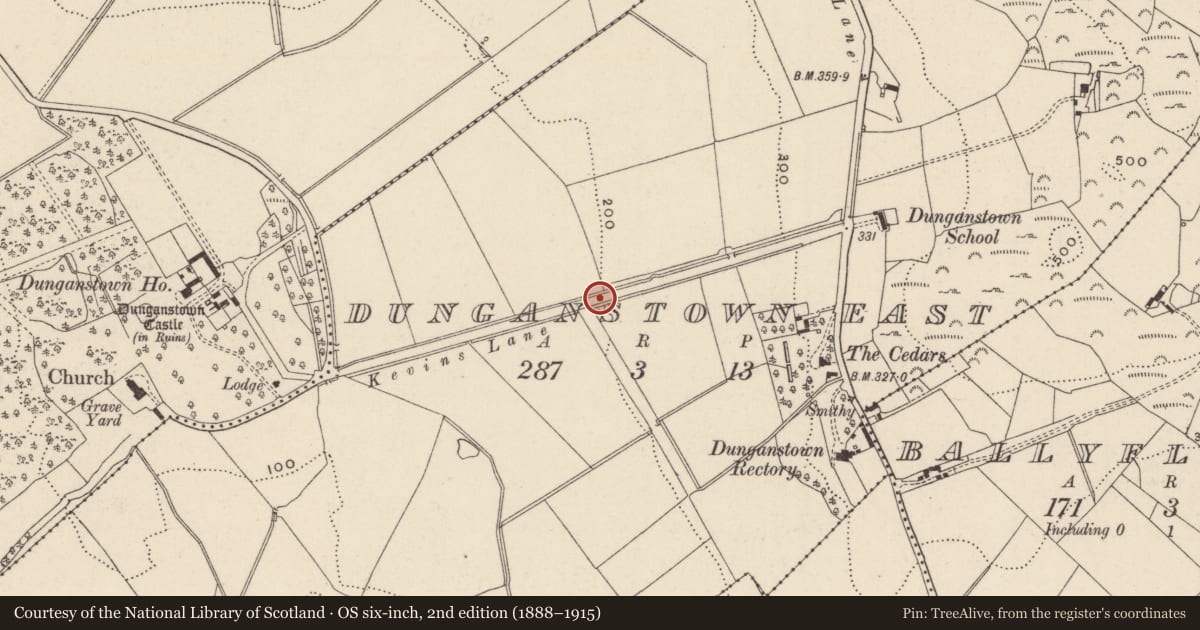 Ordnance Survey six-inch map, 2nd edition (1888–1915) covering the location of Road - road/trackway, Dunganstown East, County Wicklow, with a pin at the register's coordinates
