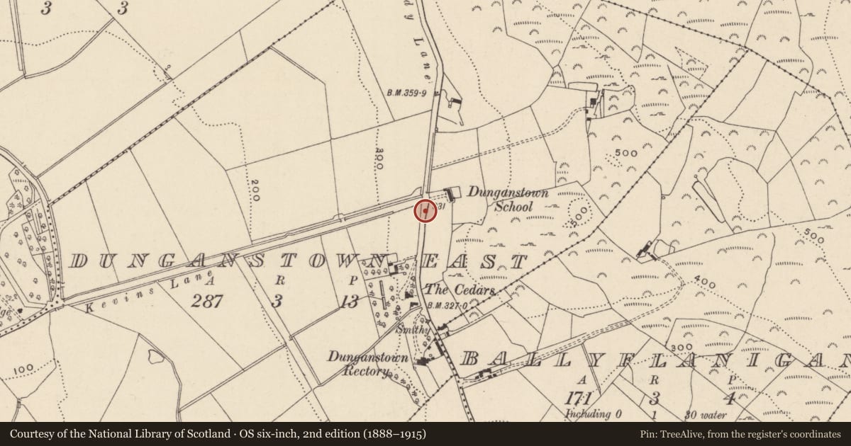 Ordnance Survey six-inch map, 2nd edition (1888–1915) covering the location of Ritual site - holy well, Dunganstown East, County Wicklow, with a pin at the register's coordinates