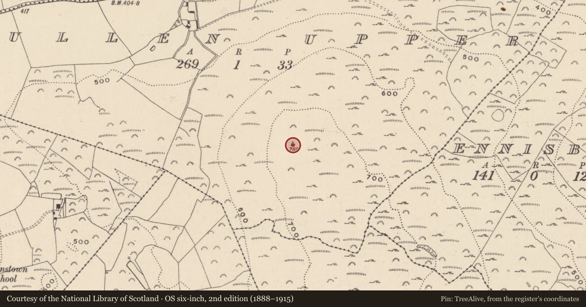 Ordnance Survey six-inch map, 2nd edition (1888–1915) covering the location of Cairn - unclassified, Cullen Upper, County Wicklow, with a pin at the register's coordinates