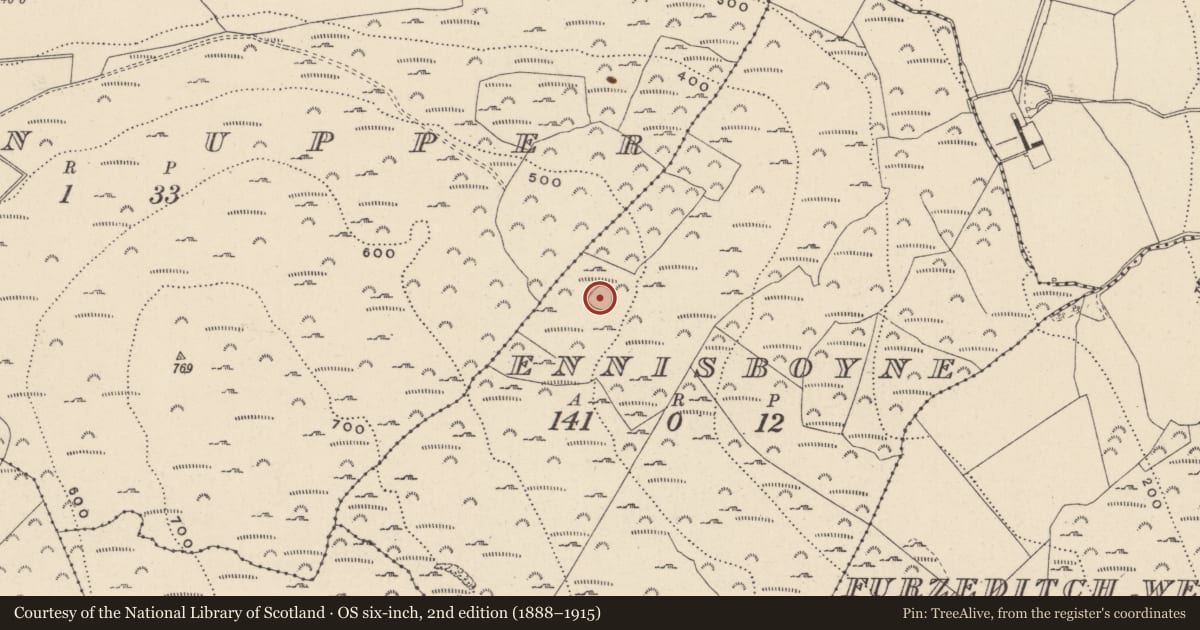 Ordnance Survey six-inch map, 2nd edition (1888–1915) covering the location of Enclosure, Ennisboyne, County Wicklow, with a pin at the register's coordinates