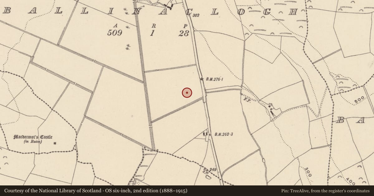 Ordnance Survey six-inch map, 2nd edition (1888–1915) covering the location of Ringfort - rath, Ballinaclogh, County Wicklow, with a pin at the register's coordinates