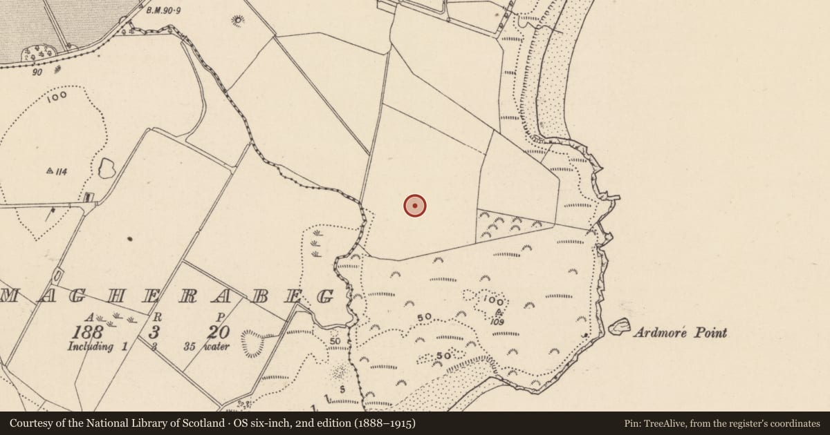 Ordnance Survey six-inch map, 2nd edition (1888–1915) covering the location of Prehistoric site - lithic scatter, Magheramore, County Wicklow, with a pin at the register's coordinates