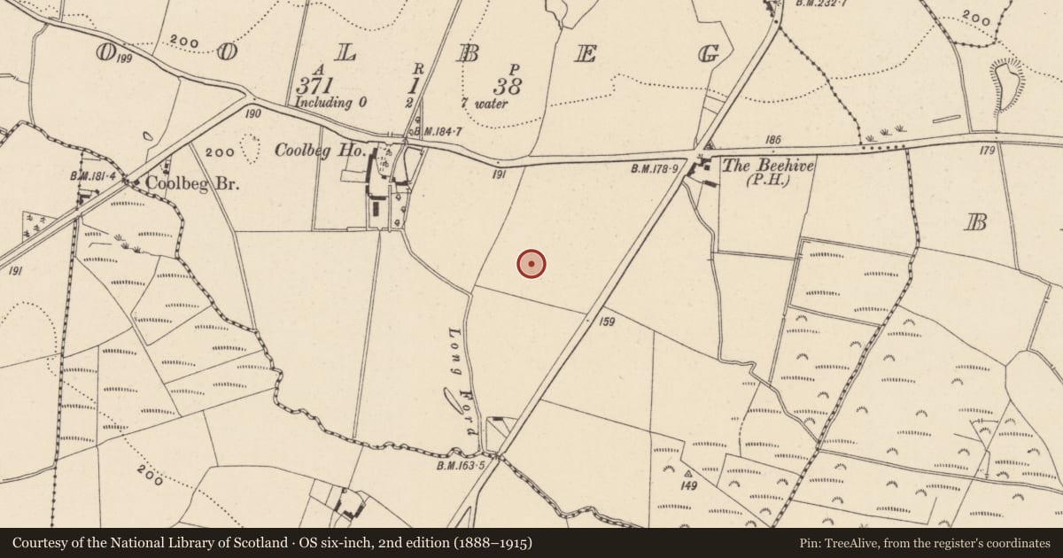 Ordnance Survey six-inch map, 2nd edition (1888–1915) covering the location of Prehistoric site - lithic scatter, Coolbeg, County Wicklow, with a pin at the register's coordinates