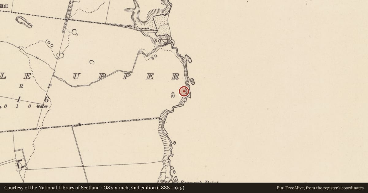 Ordnance Survey six-inch map, 2nd edition (1888–1915) covering the location of Ring-ditch, Kilpoole Upper, County Wicklow, with a pin at the register's coordinates