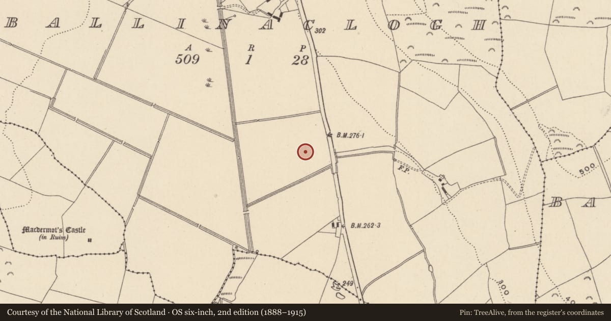 Ordnance Survey six-inch map, 2nd edition (1888–1915) covering the location of Habitation site, Ballinaclogh, County Wicklow, with a pin at the register's coordinates