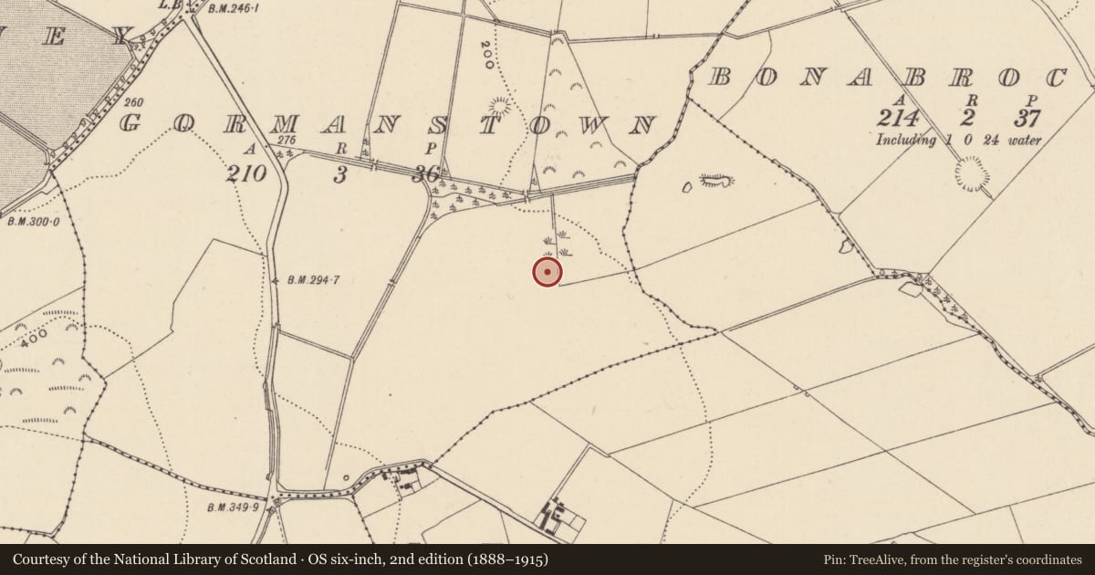 Ordnance Survey six-inch map, 2nd edition (1888–1915) covering the location of Enclosure, Gormanstown, County Wicklow, with a pin at the register's coordinates