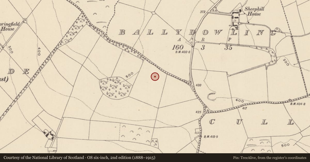 Ordnance Survey six-inch map, 2nd edition (1888–1915) covering the location of Enclosure, Dunganstown West, County Wicklow, with a pin at the register's coordinates