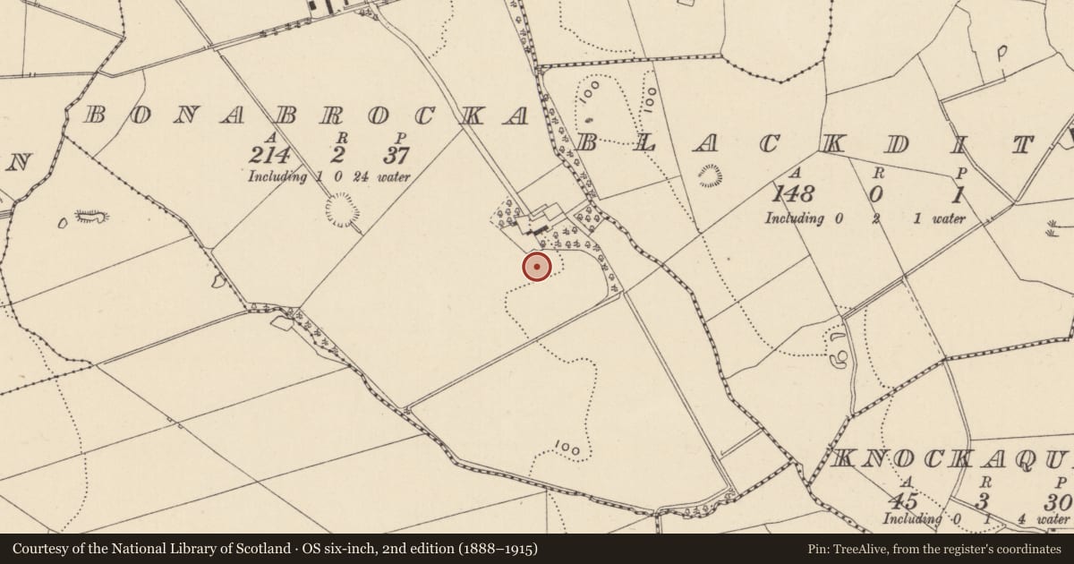 Ordnance Survey six-inch map, 2nd edition (1888–1915) covering the location of Ring-ditch, Bonabrocka, County Wicklow, with a pin at the register's coordinates