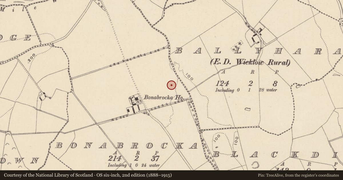 Ordnance Survey six-inch map, 2nd edition (1888–1915) covering the location of Enclosure, Bonabrocka, County Wicklow, with a pin at the register's coordinates