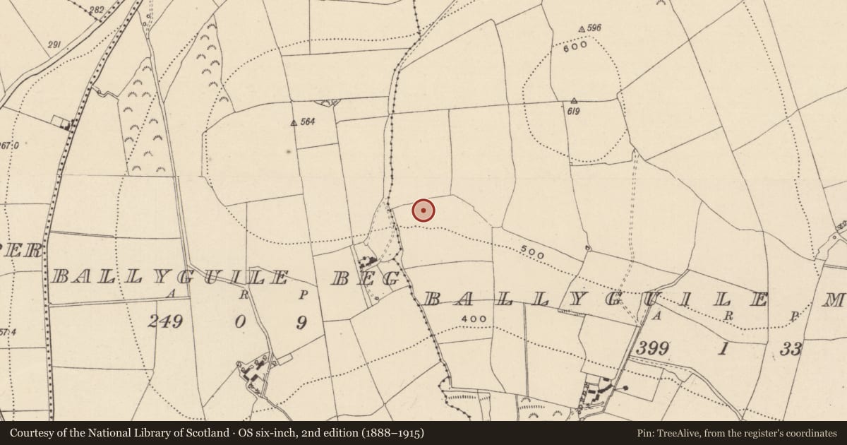 Ordnance Survey six-inch map, 2nd edition (1888–1915) covering the location of Enclosure, Ballyguile More, County Wicklow, with a pin at the register's coordinates
