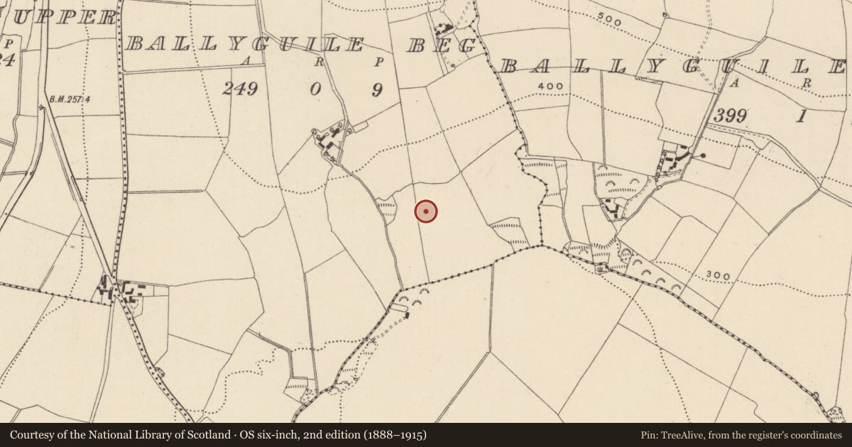 Ordnance Survey six-inch map, 2nd edition (1888–1915) covering the location of Enclosure, Ballyguile Beg, County Wicklow, with a pin at the register's coordinates