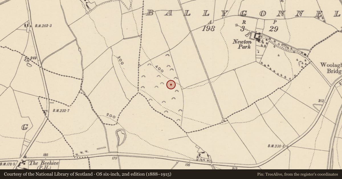 Ordnance Survey six-inch map, 2nd edition (1888–1915) covering the location of Enclosure, Ballygonnell, County Wicklow, with a pin at the register's coordinates