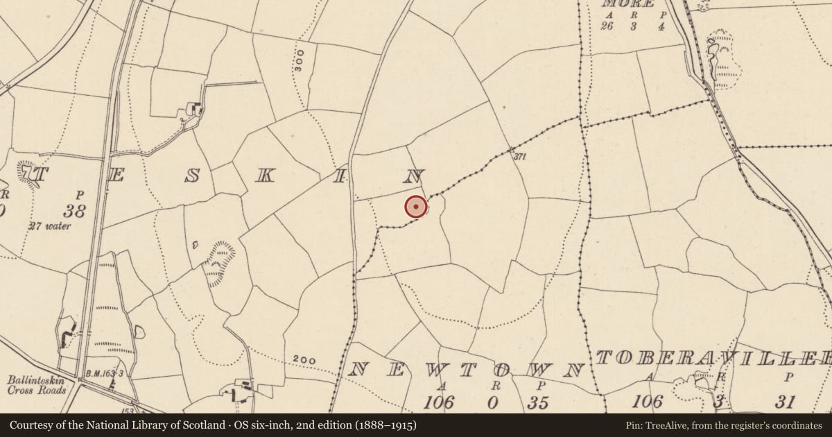 Ordnance Survey six-inch map, 2nd edition (1888–1915) covering the location of Enclosure, Ballinteskin, County Wicklow, with a pin at the register's coordinates